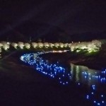 南伊豆の夜桜と流れ星